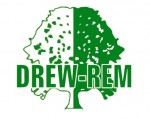Logo DREW-REM Adam Świgoń 