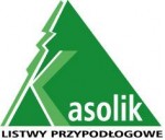 KASOLIK-LISTWY PRZYPODŁOGOWE logo