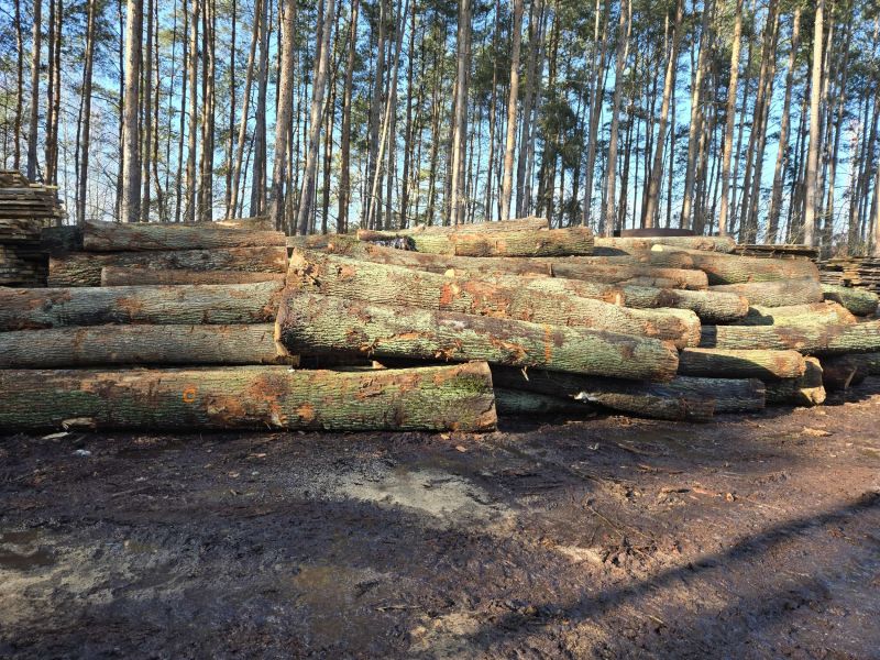 SPRZEDAM OKLEINĘ DĘBOWĄ 